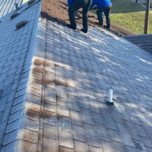 Roof maintenance-Alta RGV