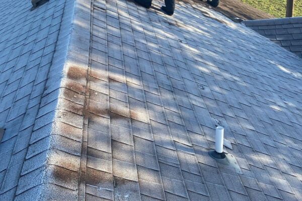 Roof maintenance-Alta RGV